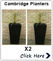 Cambridge Planters In Black
