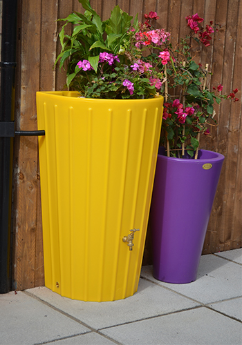 Water Butt Planter