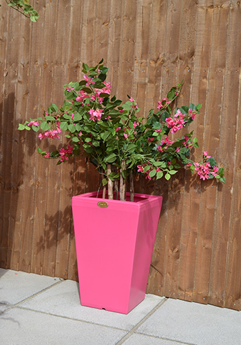 Pink Planter