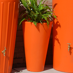 Orange Planters