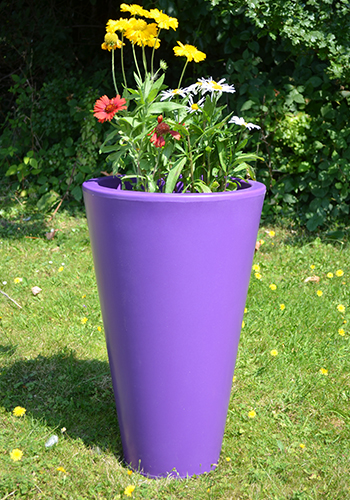 Purple Planters