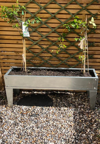 Raised Raised Bed