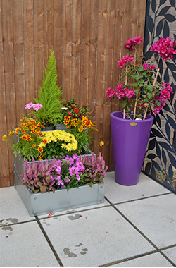 Three Tiered Garden Planter