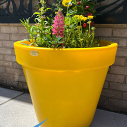 2 x Yellow Classic Planters