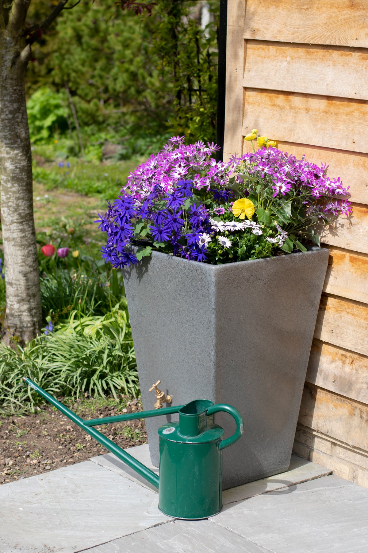 Cambridge Water Butt Planter In Millstone