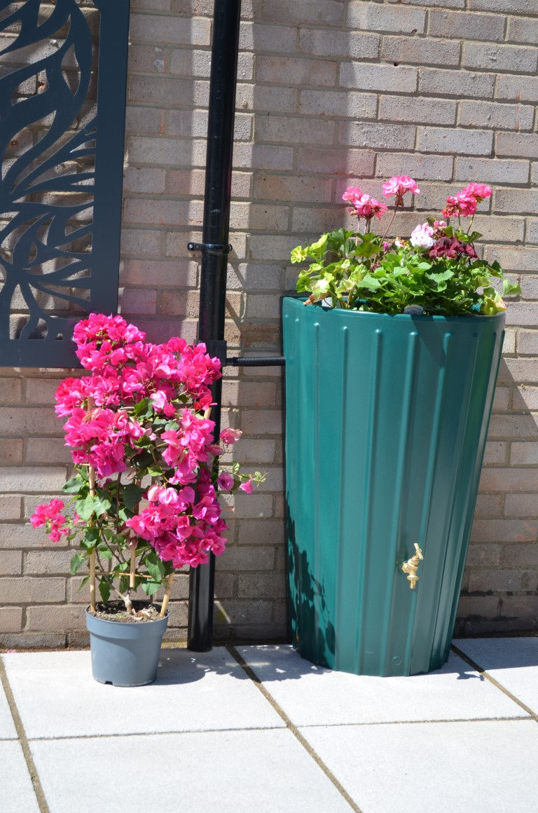 Mini Cosmo Water Butt Planter in Green