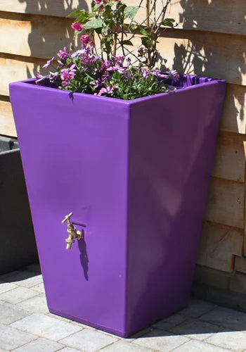 Cambridge Water Butt Planter In Purple